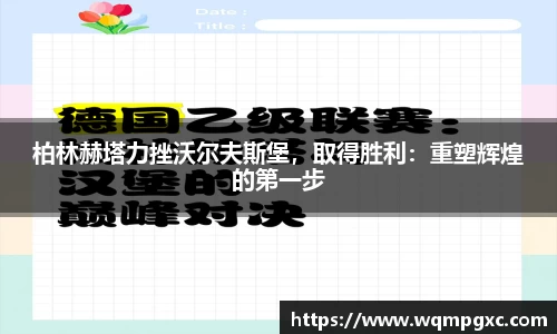 伟德bv国际体育