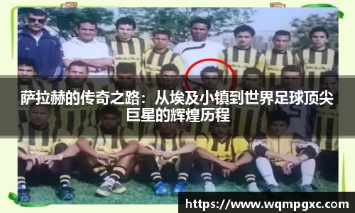 伟德bv国际体育