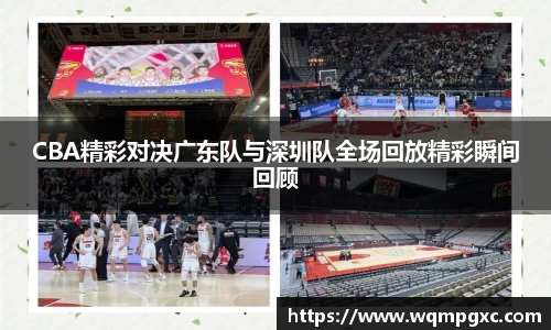 伟德bv国际体育