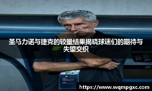 伟德bv国际体育